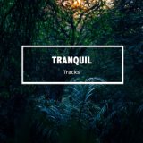 #12 Tranquil Tracks for Spirital Awakening