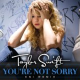 You're Not Sorry (CSI Remix)