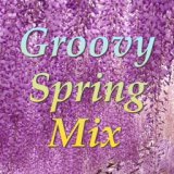 Groovy Spring Mix
