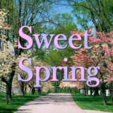 Sweet Spring