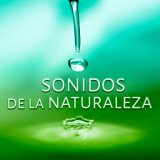 Academia de Música con Sonidos de la Naturaleza