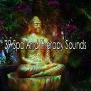  30 Musicas de Yoga - Musica Oriental Instrumental : Ioga &  Hammam Mansion & Musica de Relajacion Espace: Digital Music