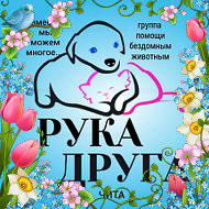 Рука Друга