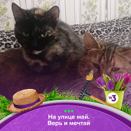 Ирина Котова