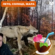 Николай Кириллов