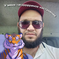 Шамиль Магомедж-ов