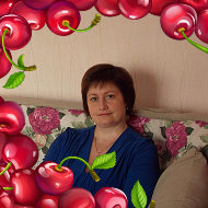 Елена Сыргашева
