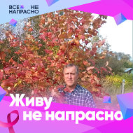 Анатолий Горюнов