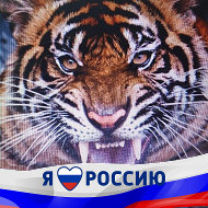 Тигр Приморский