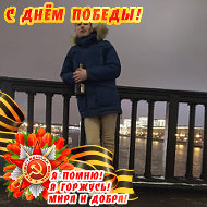 Владимир Новиков