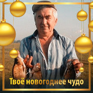 Анатолий Леонтьев