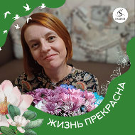 Светлана Шапкина