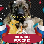 Pitomnik Folfhound