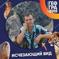 Валера Денисов