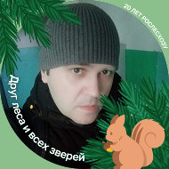 Дмитрий Шишкин