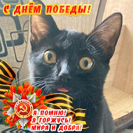 Ольга Котикова