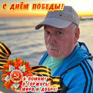 Анатолий Дубровин