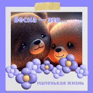 Вг Кв