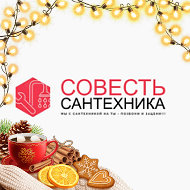 Совесть Сантехника