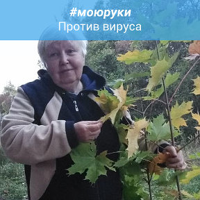 Фотография от олимпиада щербакова