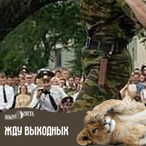 Фотография от Asoev ☪️