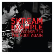 Skream & Example