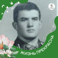 Александр Шредер