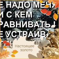 Владимир Николаевич