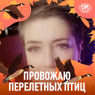 Елена Самолюк