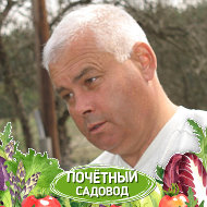 Николай Басалай