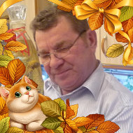 Александр Шевяков