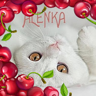 ✿ღ✿ღ Алёна