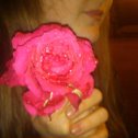 Фотография "роза"