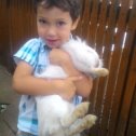 Фотография "Обнимает кролика, зоопарк на Садгороде."