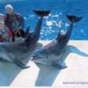 Фотография "Мы в Анапе дельфинарий"