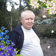 Владимир Севрюгин