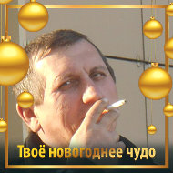 Владимир Новиков