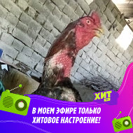 Бозорали Набиев