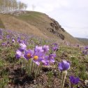 Фотография от Лариса Рыбакова