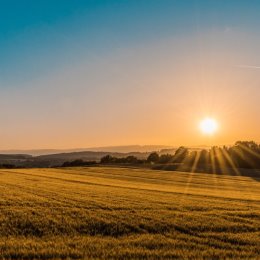 Фотография от Вероника Крупська