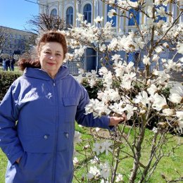 Фотография "Магнолия распустилась."