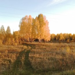 Фотография от алексей голиков