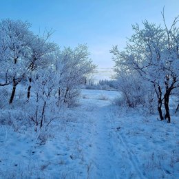 Фотография от Алия Набиуллина