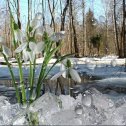 Фотография от Светлана Данилова