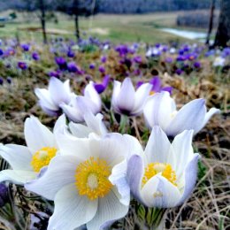 Фотография от Татьяна Желнина (Караванова)