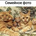 Фотография от Галина косых