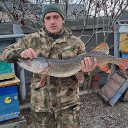 Фотография от Николай Мироненко