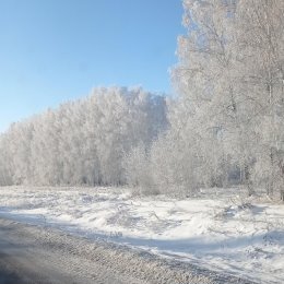 Фотография от 57 RUS николай