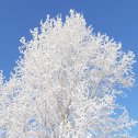 Фотография "У нас вокруг зимняя сказка)) Поздравляю всех с наступающим Новым годом!"