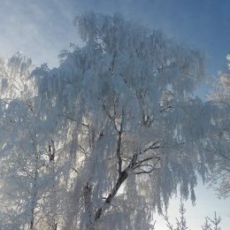 Фотография от Рустам Эргашов